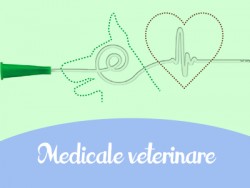 produse medicale veterinare